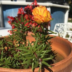 Meet your Posher, Hatice